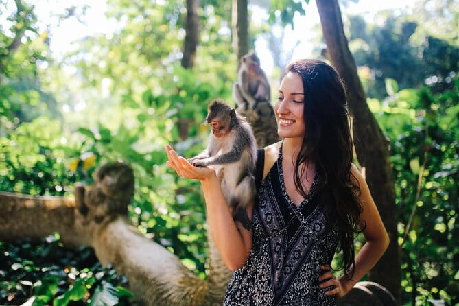 Bali: Ubud (Temple, Spring, Rice Terraces, & Waterfall) - What you get for $36 in a private car