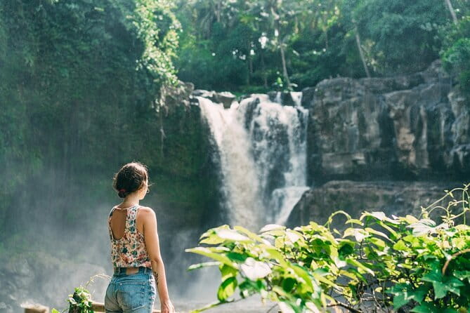 Bali Ubud Tour Monkey Forest, Waterfall, Temple & Rice Terrace - The driver-guide can shape the whole day