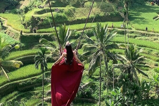 Bali Ubud Tour Monkey Forest, Waterfall, Temple & Rice Terrace - Kanto Lampo Waterfall: a short, photogenic nature stop