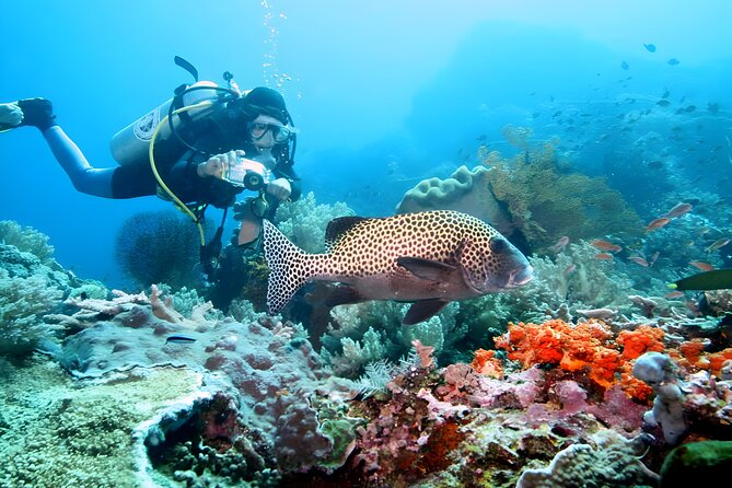 Bali Water Sport Jumbo Packages - How good is the $70 value?