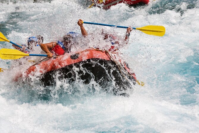 Bali White Water Rafting with Sacred Monkey Forest and Swing - Sangeh Monkey Forest among old nutmeg trees