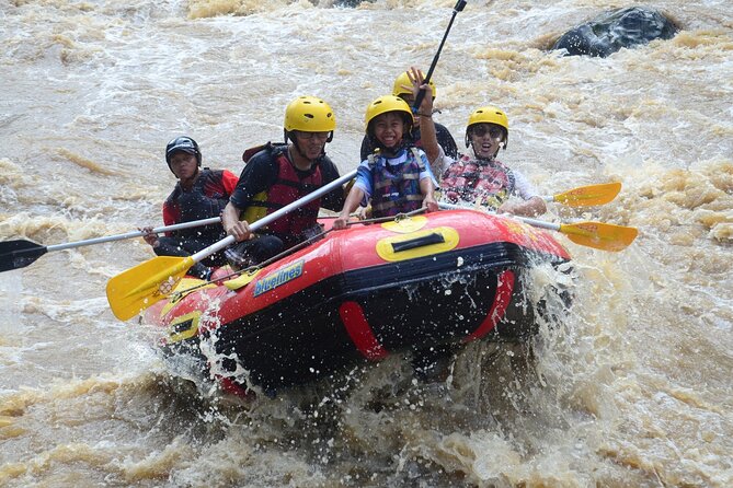 Bali White Water Rafting with Sacred Monkey Forest and Swing - My Swing Bali above jungle and rice terraces
