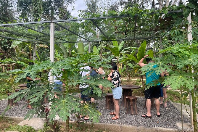 Balinese Cooking Class with Traditional Market Tour - Is $58.16 good value in Ubud?