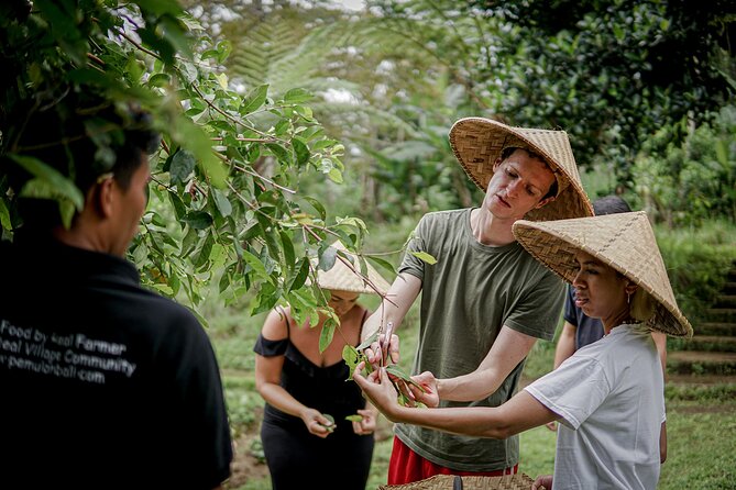 Balinese Farm Cooking Class by Pemulan Bali - Cooking six dishes in an open-air kitchen