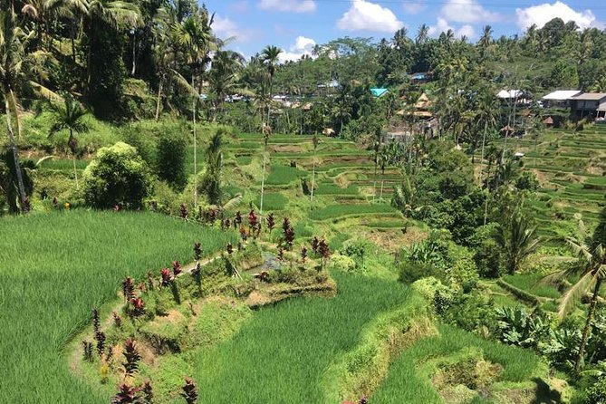 Balinese Life Style Tour - Why this Ubud tour works as an introduction to Bali