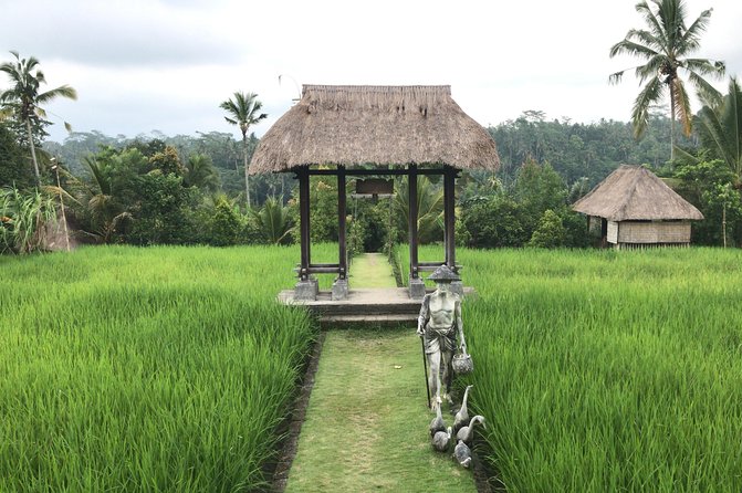 Balinese Life Style Tour - Kintamani and the Mount Batur viewpoint