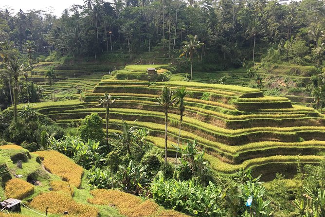 Balinese Life Style Tour - Indonesian coffee and tea at Segara Windhu