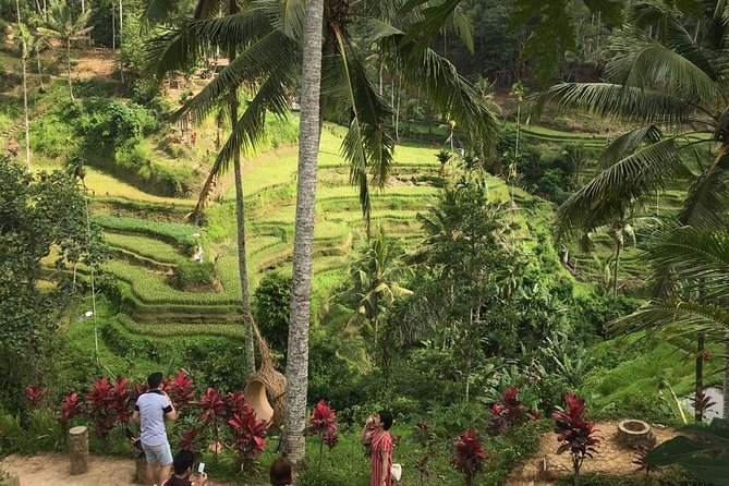 Balinese Life Style Tour - What the $74 price really covers