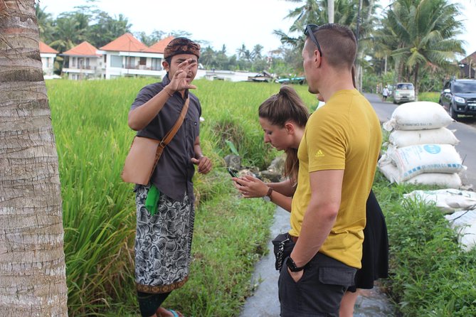 Balinese Ubud cooking school (9 Dish Cooking and Market Tour) - Cooking in a Balinese Home Setting