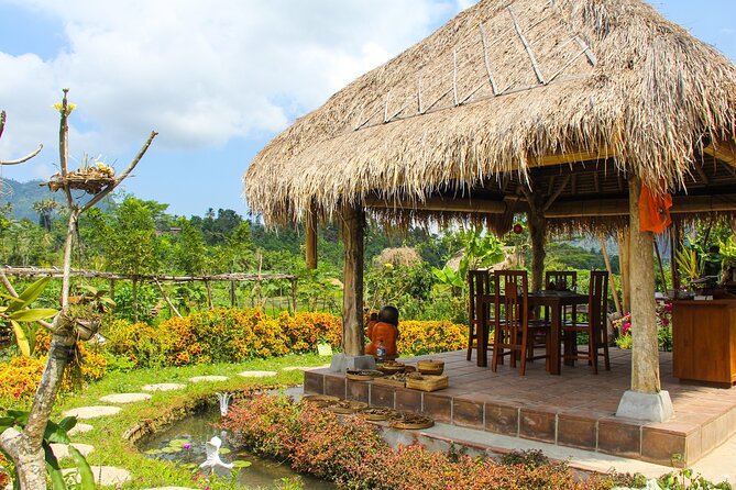 Balinese Vegan Cooking Class with Fresh Harvesting & Garden Tour - The four-course meal with Mount Agung in the distance