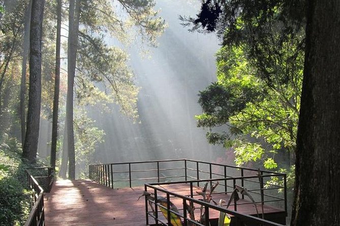 Bandung Private Tour Mountain Volcano and Hotspring ( Overland ) - Why this Jakarta to Bandung day trip works