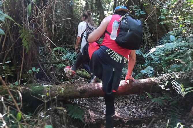 Bandung Tour Volcano, Hotsprings, Mud, Tea, Lunch all Included - Is $59.90 good value?