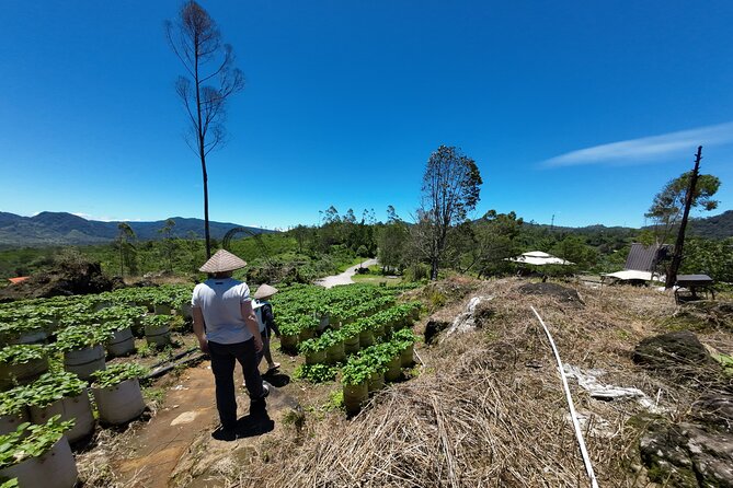 Bandung Volcano Sightseeing and Hot Spring Private Tour - Rengganis Crater: geothermal water you can feel