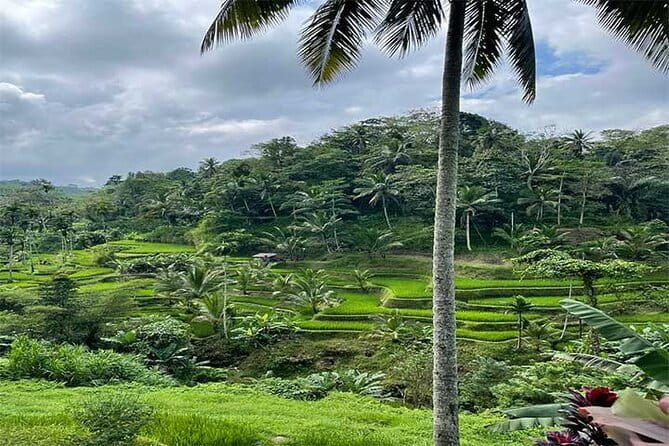 Banyumala Waterfall, Jatiluwih, Ulun Danu and Tanah Lot tours - One day from Seminyak to Bali’s countryside