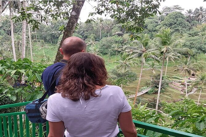 Banyumala Waterfall, Jatiluwih, Ulun Danu and Tanah Lot tours - Guide support and the pace of the day
