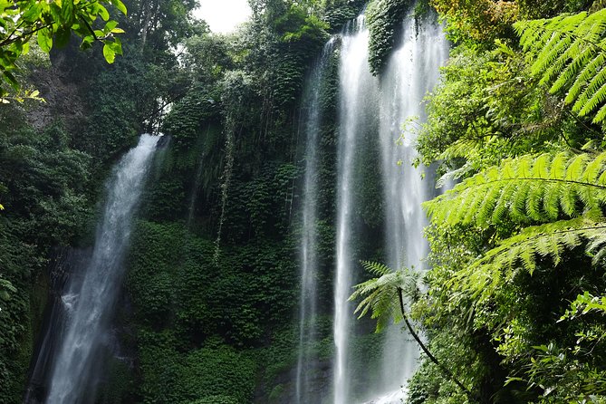 Banyuwana & Banyumala Waterfalls Tour Private - All-Inclusive - What this north Bali day is really like
