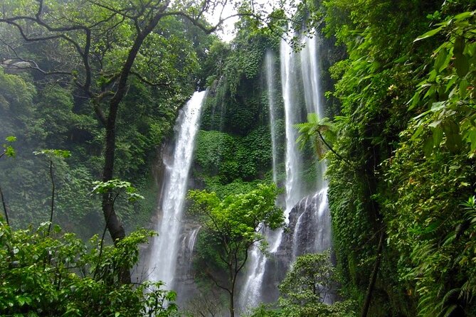 Banyuwana & Banyumala Waterfalls Tour Private - All-Inclusive - Is $50 per person good value?