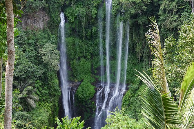 Banyuwana & Banyumala Waterfalls Tour Private - All-Inclusive - Banyu Wana Amertha and the difficult stairs