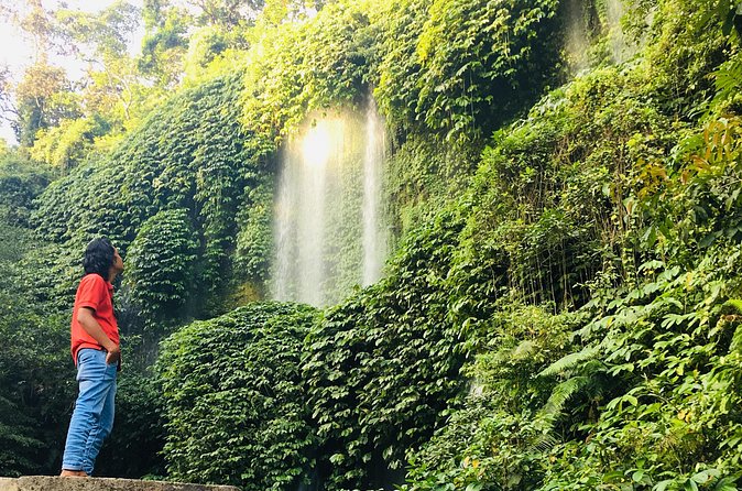 Benang kelambu waterfall and benang stokel waterfall lombok - Rice terraces on the return drive