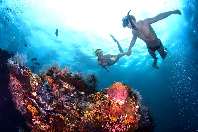 Best Bali Snorkeling at Blue Lagoon Beach: All-Inclusive - Why Blue Lagoon works well for first-time snorkelers