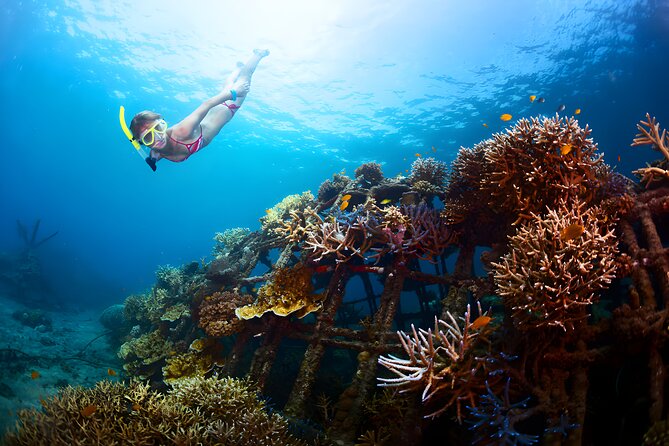 Best Bali Snorkeling at Blue Lagoon Beach: All-Inclusive - Blue Lagoon Beach, the first two-hour stop