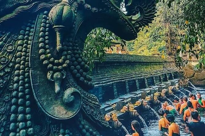 Best Bali Tour 1-day private tour - Tegalalang Rice Terrace: the day’s big view