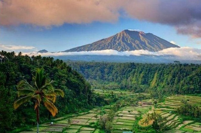 Best bali transport service - custom your own itinerary - What the strongest service details tell me