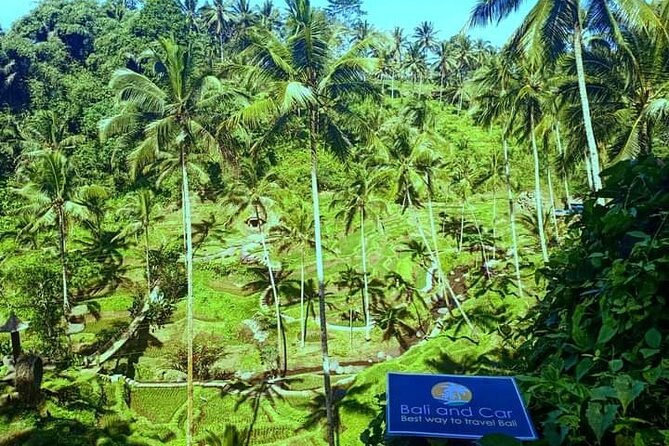 Best bali transport service - custom your own itinerary - Who will get the most from this service