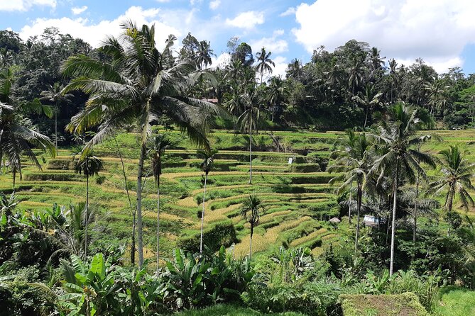 Best Bali Ubud Full Day All-Inclusive Private Tour - Batuan Temple begins the cultural side of the day