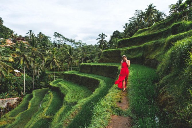 Best Day Trip in Bali - What the Ubud day trip is really trying to do