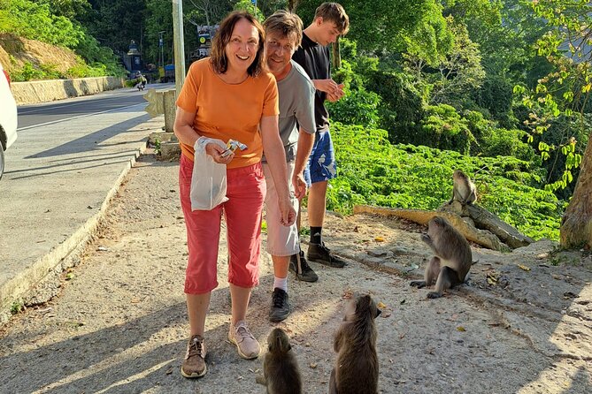 Best Lombok Rice Terrace Walking Tour With Waterfall & Monkey - Walking through Aik Berik’s rice terraces