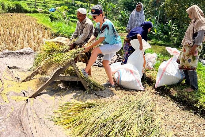 Best Lombok Rice Terrace Walking Tour With Waterfall & Monkey - Who should book this Lombok day tour?
