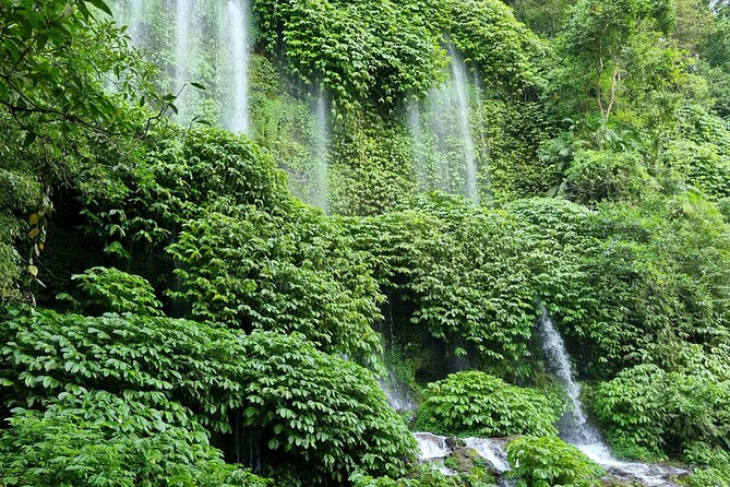 Best Lombok Rice Terrace Walking Tour With Waterfall & Monkey - Benang Stokel and Benang Kelambu Waterfall