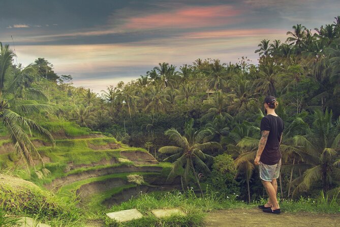 Best of Bali : Bali Temples , Rice Terrace and Waterfall Tour - Tegalalang Rice Terrace and the climb