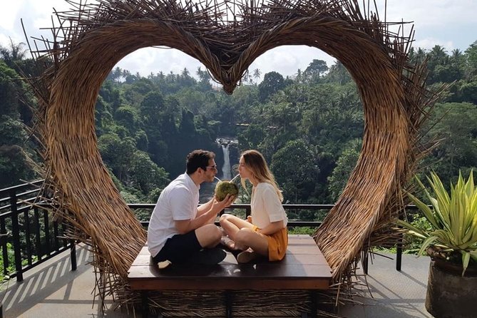 Best of Bali Jungle Swing with Ubud Sightseeing Tour - What the private guide adds