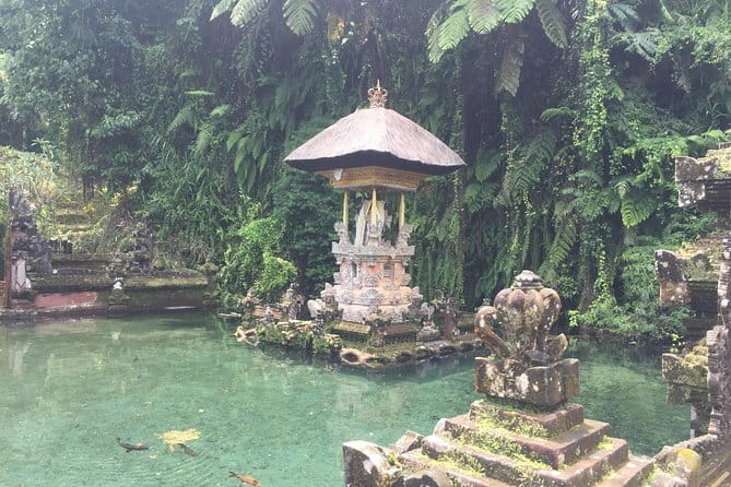 Best of Bali Private Shore Excursions - From Benoa Harbour into Bali’s interior