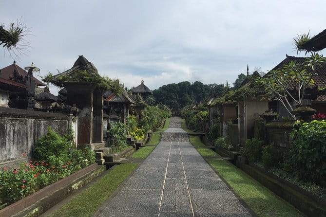 Best of Bali Private Shore Excursions - Walking the Tegalalang Rice Terrace
