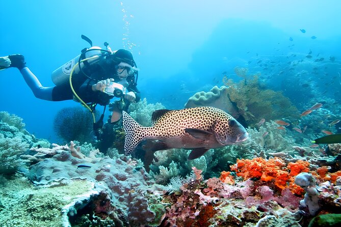 Best of Bali Water Sport Jumbo Packages - Who will enjoy this package most?