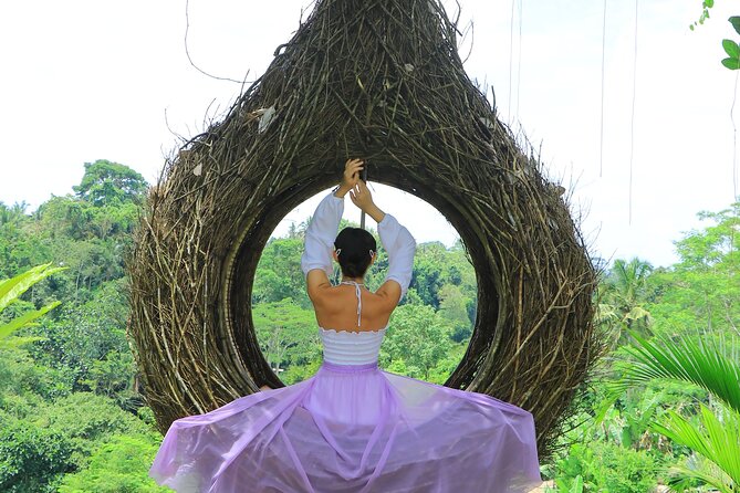 Best of Instagram Tour: Gate of Heaven, Tirta Gangga, Bali Swing - The driver can make or break a long day