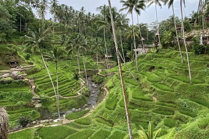 Best of Instagram Tour: Gate of Heaven, Tirta Gangga, Bali Swing - Who should book this Bali photo tour