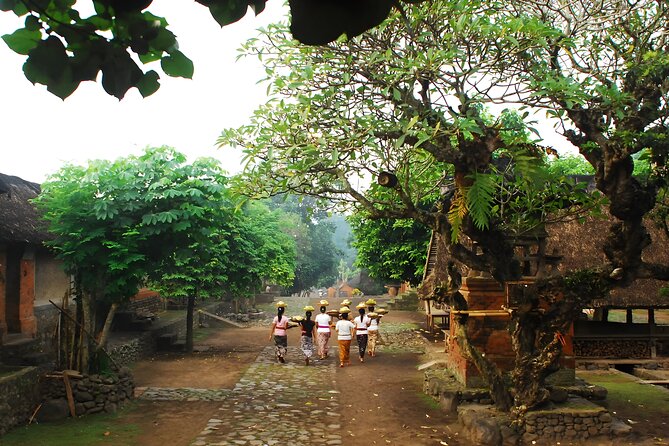 Best of The Gate of Heaven and East Bali Tour - The private car and driver-guide matter