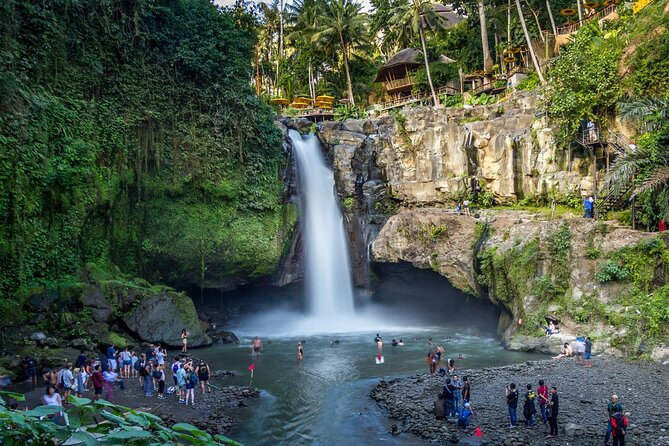 Best of Ubud 1-Day Private Tour - Why this private Ubud day works