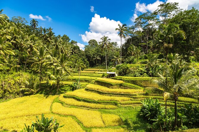 Best of Ubud 1-Day Private Tour - Celuk Village and the art stop