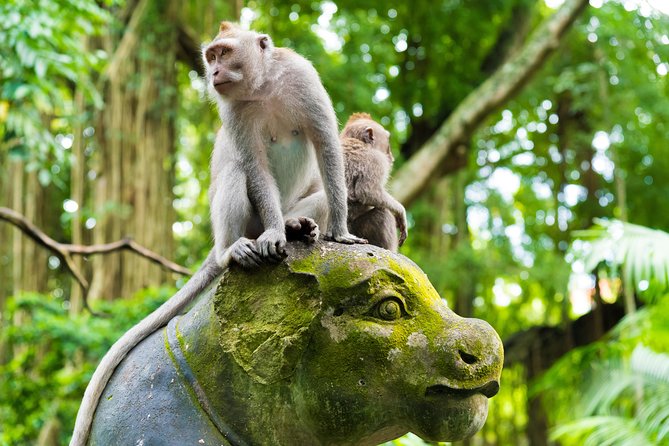Best of Ubud Attractions: Private All-Inclusive Tour - Elephant Cave: archaeology, stonework, and a short temple visit