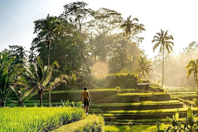 Best of Ubud - Full day Tour + FREE WI-FI - Key details to know before booking