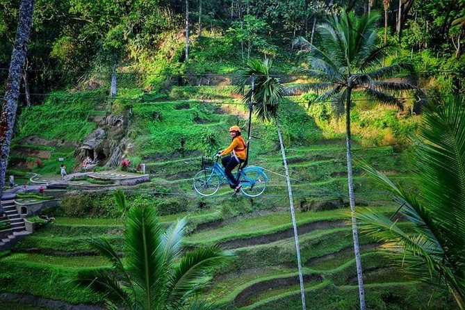 Best of Ubud - Full day Tour + FREE WI-FI - Tegalalang Rice Terrace and the subak system
