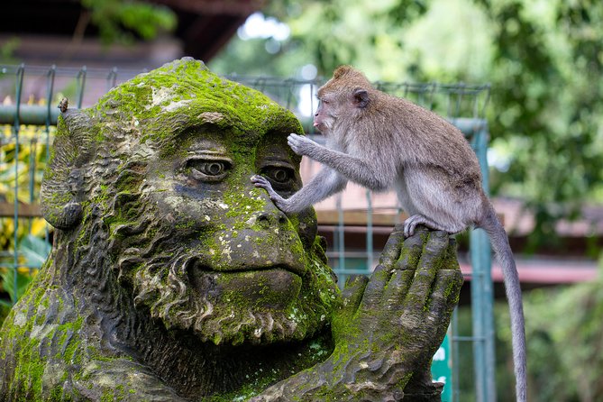 Best of Ubud Full-Day Tour with Jungle Swing - Monkey Forest: a shaded start with a wild side