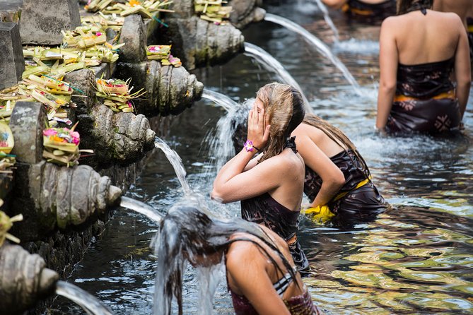Best of Ubud Full-Day Tour with Jungle Swing - Guides, driving, and the private-tour advantage