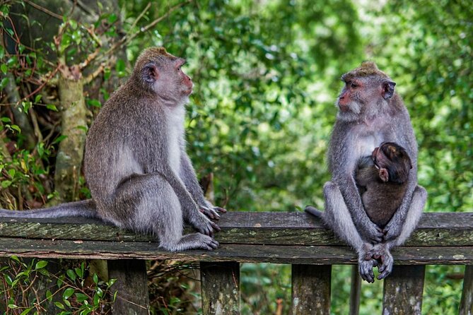 Best Of Ubud Private Day Tour With Local Guide - A private route from Kuta into Ubud
