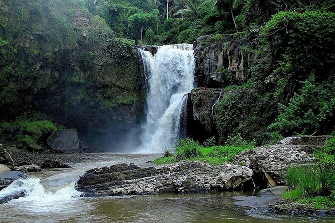Best Of Ubud Private Day Tour With Local Guide - Celuk Village and Bali’s silver craft